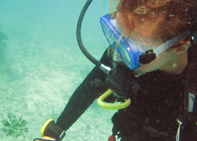  Seabed 